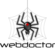 The Web Doctor - Brian Platz